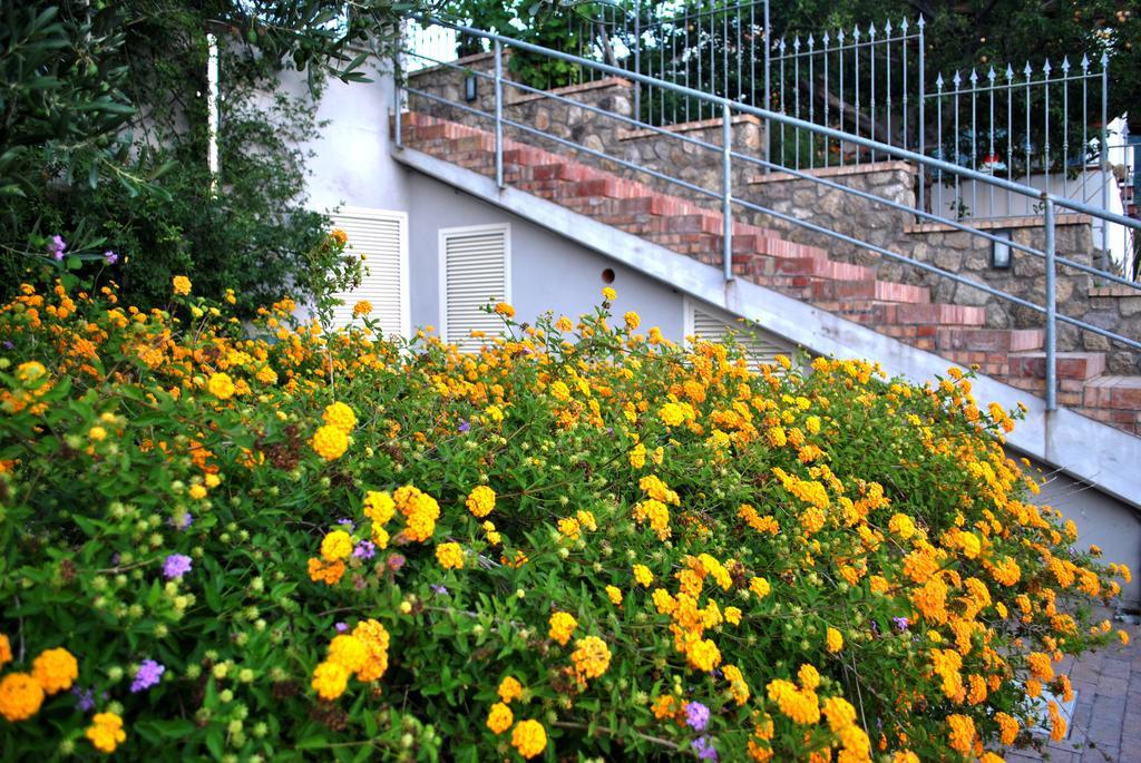 Appartamenti Ischia La Sentinella Casamicciola Terme Exterior photo